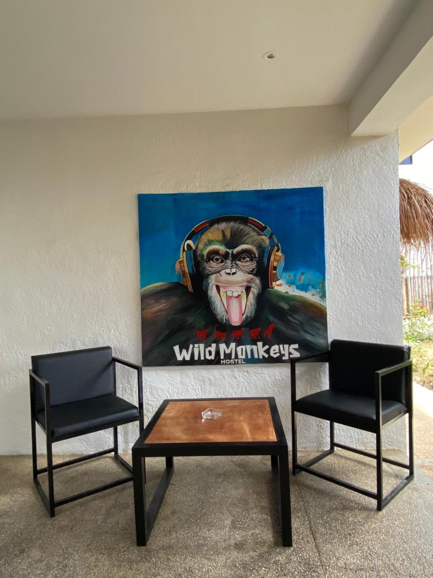 Wild Monkeys Hostel Moalboal Kültér fotó